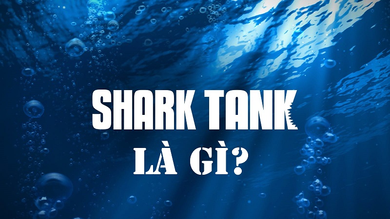SHARK TANK LÀ GÌ? 10 lưu ý quan trọng khi tham gia shark tank