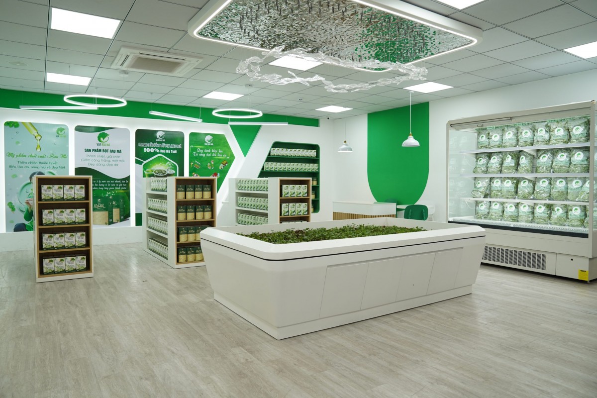 Tìm hiểu ngay gói Nhượng Quyền của Vua Rau Má